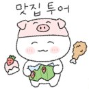 보우근화 이미지