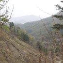 희여울과 꽃나예 이미지