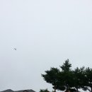 라온힐펜션 이미지