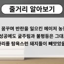 정권농장 이미지