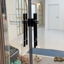 엘리나발레스튜디오학원 이미지