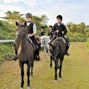 미래글로벌 이미지