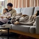 둥지조산원 이미지