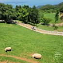 동선목장 이미지