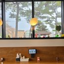 한끼만두 배방점 | 아산 메밀리711-3 | 배방 맛집, 막국수와 족발 조합이 매력적인 메밀 전문점 후기