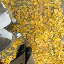 에이티코 | 연남동의 보물 ,, 에프이에이티 (feat)