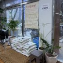 성심환경 | 제주공항 근처 맛집 갈치조림 현지인 추천 ‘성심조림’