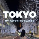 파란달 교차로(정안IC방향) | 좋아하는 도쿄의 장소들 part.2🗼/ 시나가와, 롯폰기, 아사쿠사, 오다이바