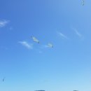 금오도 휴식처 네이버블로그