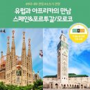 노랑홈쇼핑 이미지