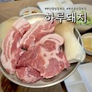 중앙동집 | 부산중앙동맛집 하루돼지, 회식하기 좋은 부산중앙동고기집 후기