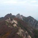 계룡산 Daum카페