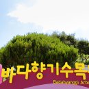 바다향기수목원(바다너울원) 이미지