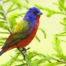 금정의 메아리 이미지