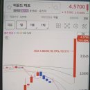 비욘드 매직 | 비욘드미트 상폐 요건 알아보다 텐베거 가능 - 팔라듐