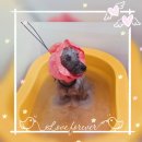 복현정형외과의원 이미지