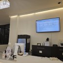 퍼피파라다이스 이미지