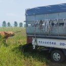 소야축산