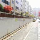 범안로58번길 Daum카페