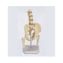 (주)진산메디칼 이미지