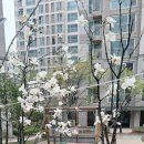 남성전용미용실 컷팅맨 | 26/04/10(금) 홀리 마운틴