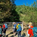 중말농장 이미지