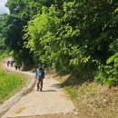 연강나룻길 C코스 이미지