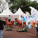 제주의 제주마 이미지