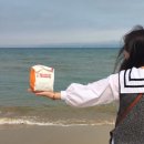 롯데리아포항점 이미지