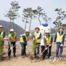 한돈농장 이미지