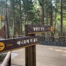 숯불구이발왕산