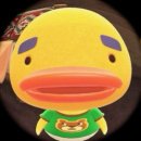 션샤인캣 | 명동 고양이카페 루프캣미 | 힐링 데이트 코스 내돈내산 후기