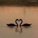 웃음교육지도사 1급 양성 과정 이미지