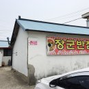 장기반점 이미지