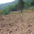 큰돌농장 이미지