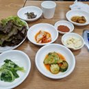 마흔네번째 먹기 - 대전 둔산동 맛집 [돼지깡장] / [말자싸롱]