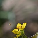골프존 거두센트럴점 이미지