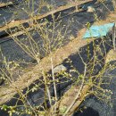 나가지농장 이미지