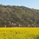 웅천읍 노천리534-1 이미지