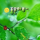 수지상사 이미지