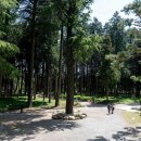 법기수원지 이미지