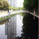 11월10일(화)오전10시 여리님따라걷기. 서울숲~한강수변길,옥수역.명품김치찌개 이미지