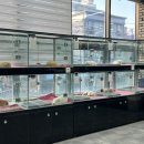 해피애견타운 강아지고양이 포항점&현살롱드펫(남구) 이미지