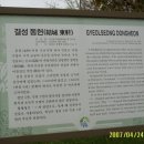 결성동헌(홍성군 결성면 읍내리)과 광천의 죽전지 월이대박 이미지