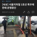 [속보] 서울지하철 1호선 폭우에 한때 운행중단 이미지