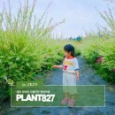 베어플렌트 | 아이와 가볼 만한 정원 카페 제주 월평동 플랜트827