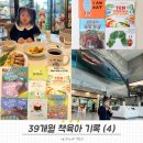 오감만족 책 탐험 | [엄마표 영어 북트리(24)] 39개월 책육아 | 공룡 관련 유아 도서 추천, 아이맘콕, Spot, Dinosaurs...