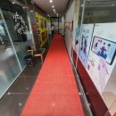 송화태권도 이미지