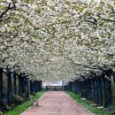 드림빌딩 이미지