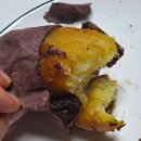 고구마짐 | 해남의 짐심을 담은 해남꿀고구마 호풍미산지직송 후기